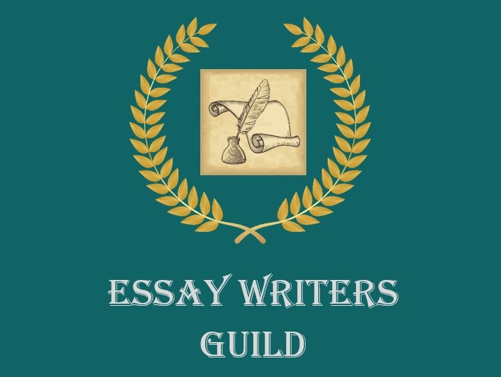 essaywritersguild.org